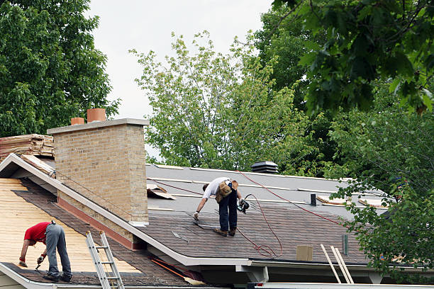 Roof Gutter Cleaning in East Williston, NY